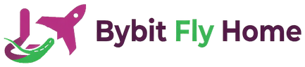 Bybit Fly Home